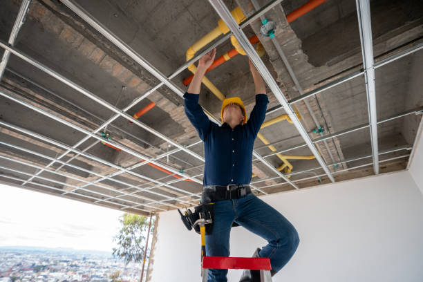 Best Local Plumber Services  in Wilson, WY