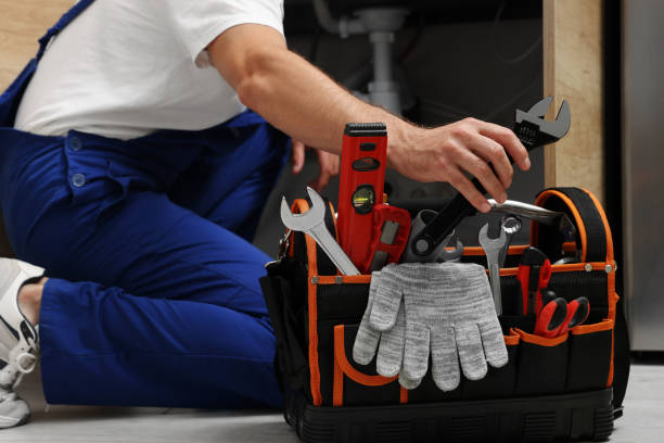  Wilson, WY Plumbing Pros
